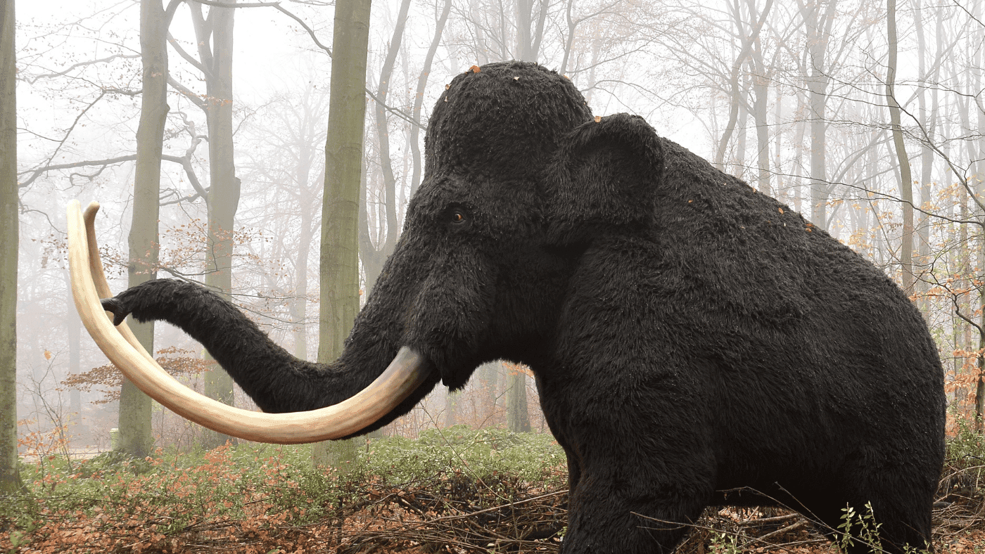 Can We Genetically Revive Extinct Species?