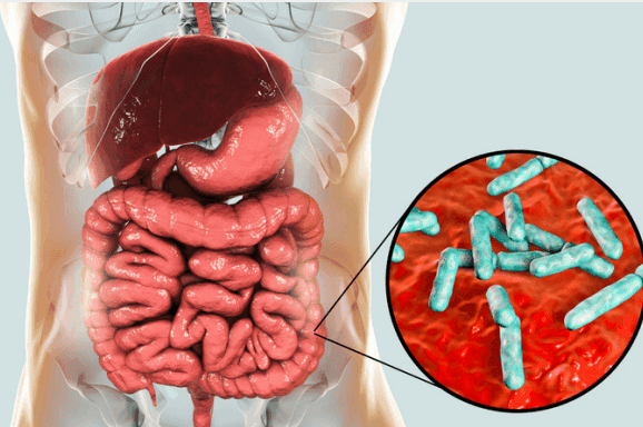 The Microbiome: Your Body’s Secret Superpower
